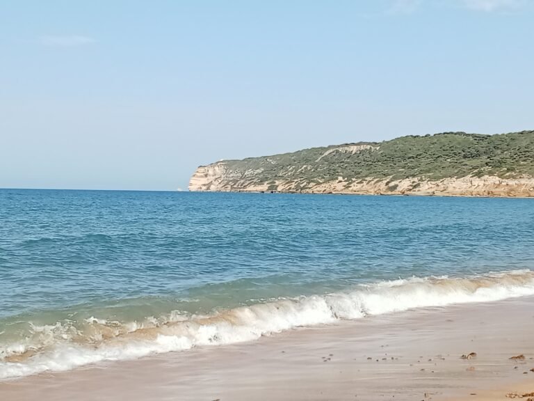 oplus_0